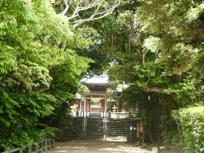 九州 ：「宮地嶽神社」から 玄界灘 「志賀海神社」強き皇后の光の道をたどって。