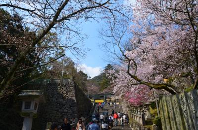 春の四国東半分をまわる旅?