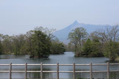 函館の旅　　初めての大沼公園散策　と　函館夜景　(２日目）