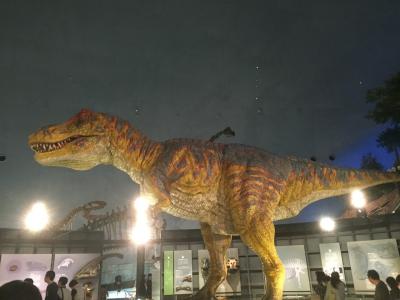 福井旅行で恐竜博物館へ！