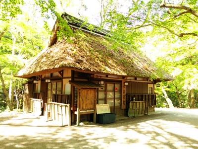 一人修学旅行@奈良