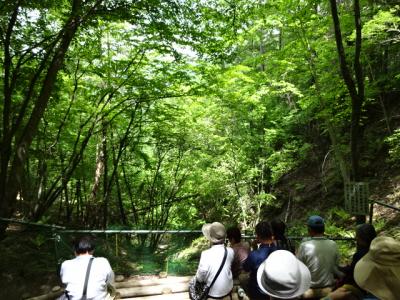 ゼロ磁場　分杭峠へ