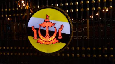 初上陸の、ボルネオ島！３　ブルネイ上陸編