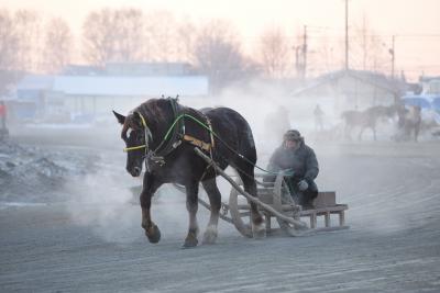 2016年１月　SFC修行第2弾3日目　朝調教とばんえい競馬