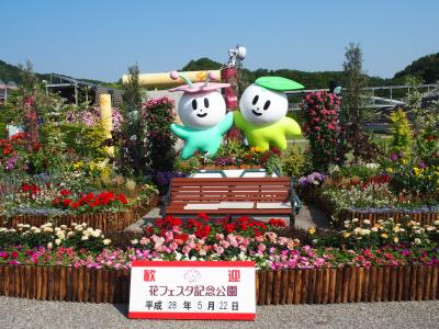 大野町バラ公園・可児花フェスタ記念公園2016