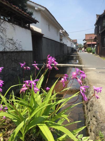 鳥取県　②　レトロ倉吉へタイムスリップ