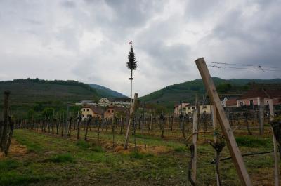 プラハとウィーン春旅③。