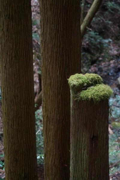 幻の沢ノ池漂流