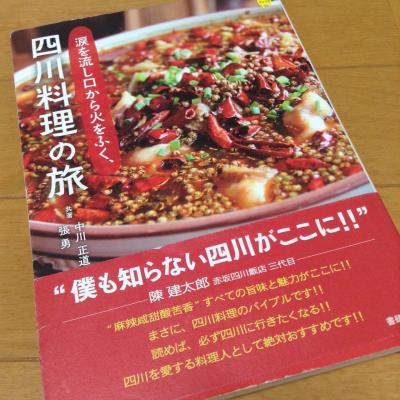 2016年5月 四川の麺とお茶を愉しむ一人旅 3日目 閬中から成都へ編