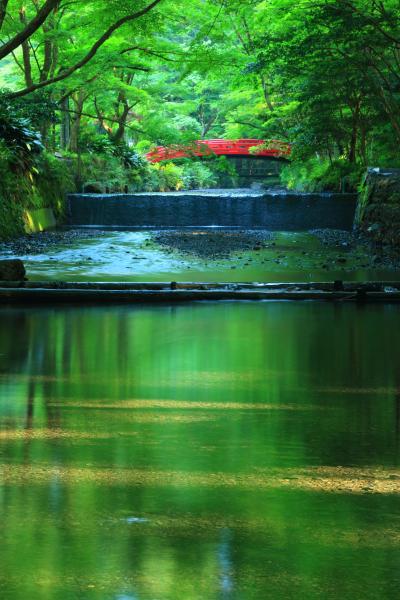 静岡　青もみじめぐり～小國神社、大洞院、油山寺、龍潭寺