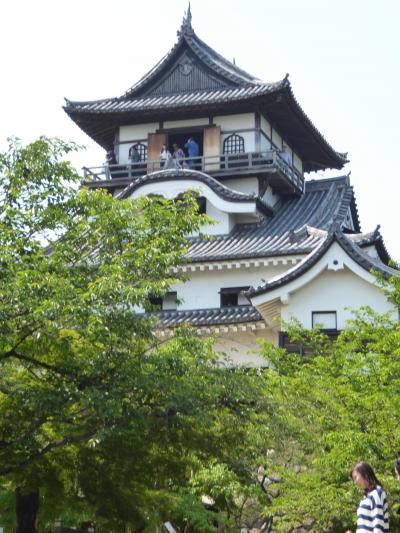 初LCCで名古屋へ 後編~犬山城から名古屋城