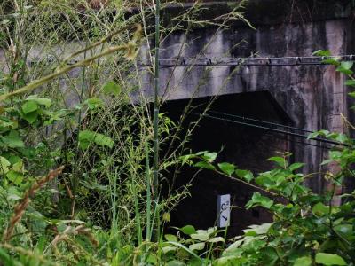 カブトガニと川の底を通る鉄道トンネル