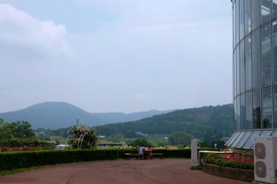 茨城県フラワパークへ　薔薇　見事な美しさを見せてくれました。　中　周遊車に乗って（ＴＯＵＲ　ＣＡＲ）