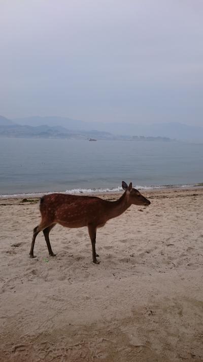 出張のついでにゲーセン行って、宮島で鹿を眺めてきた1泊2日の旅。
