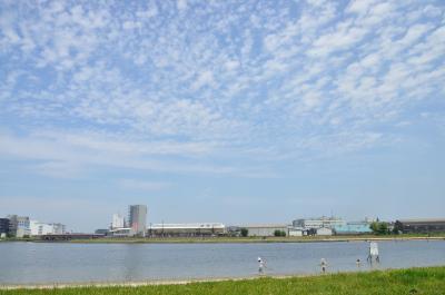 大森ふるさとの浜辺公園