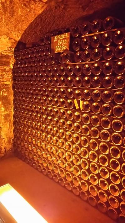 パリでちょい住み③お城とグルメ？とショッピング。