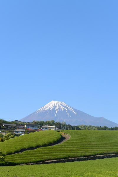 富士滞在　４～５月