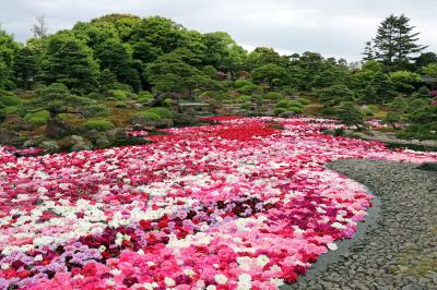 ２０１６　GWの旅は突然に・・・山陰１泊２日＜３－3＞ ～【由志園】　イエローガーデン・フェスティバル～