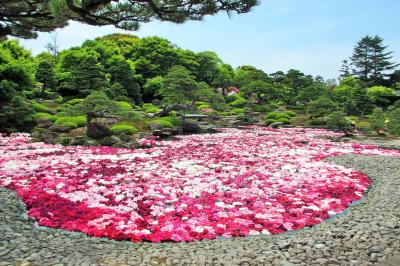 2016年５月　島根県　その１　大根島の由志園でランチと牡丹の花を楽しみました。