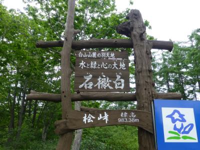 山菜と風景を楽しむ　（岐阜県・石徹白）