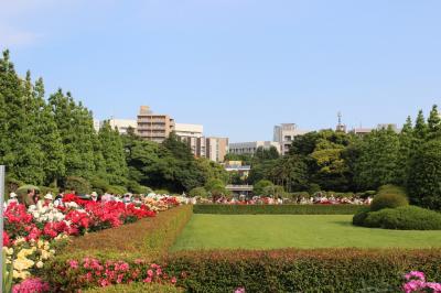 新宿御苑のバラの園