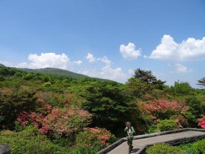 リゾート那須野満喫号で那須へ～八幡のツツジと南ヶ丘牧場へ～