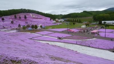 2016年「春の絶景を楽しむ北海道４日間」の旅　その１