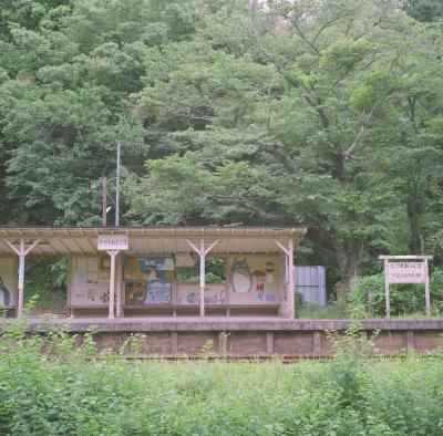 小湊鐡道を行く。。いやそこまででもないか。。現像出来ました。