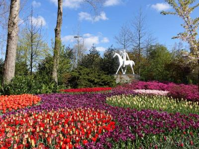 オランダ・ベルギー・ドイツを巡る旅③（キューケンホフ公園編）