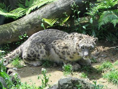 北陸の動物園巡り+あれこれ ?