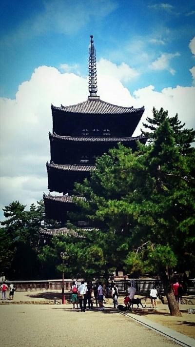 ホテルウェルネス飛鳥路【奈良/正倉院展/燈花会/古事記展etc】