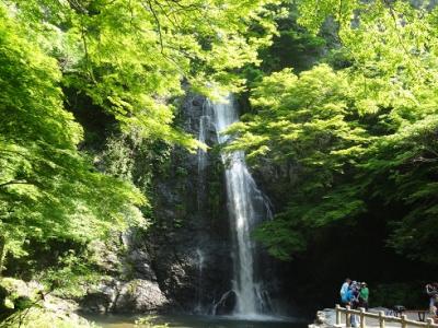 箕面１泊旅行　２　　　～箕面の滝～