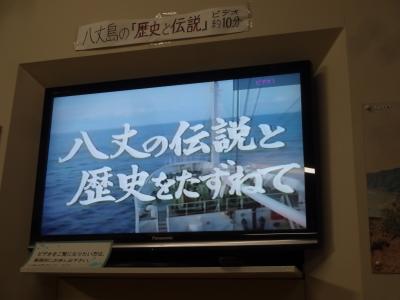 【スカイツアーズ】八丈島ツアー決定版！選べるANA便＆ホテル（1泊付）・関東発 1泊2日