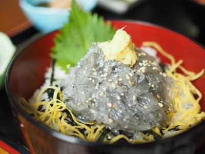 鎌倉一人旅～江ノ島電鉄ぶらり途中下車の旅～ 2016