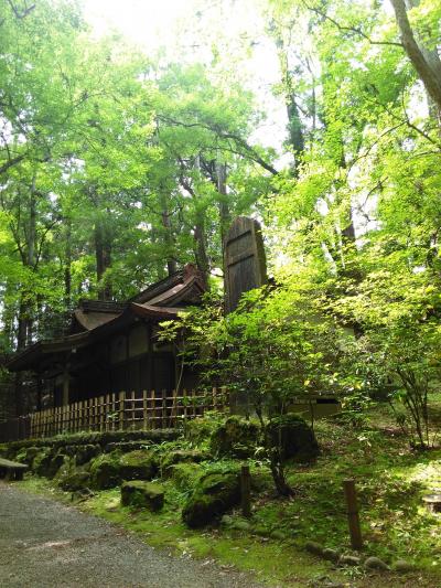 新緑の新勝寺