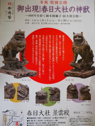 春日大社では、ご本殿の獅子・狛犬の特別初公開