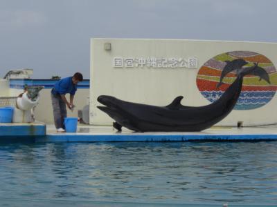 2010年春休みin沖縄恩納村