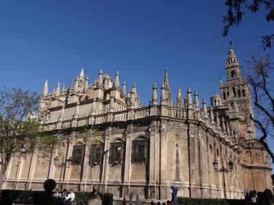 １３日間のスペイン　ポルトガル⑨　セビリヤ観光