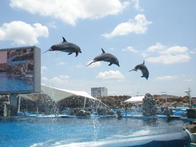 平均年齢６６歳の名古屋港水族館