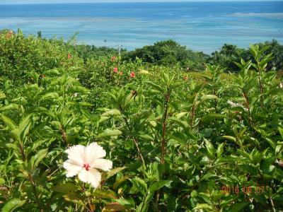 念願の石垣島に行ってきました♪　晴れ女！！①