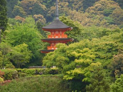 なかなか行けない　呼ばれる天河神社（奈良県）＆清水寺　　２
