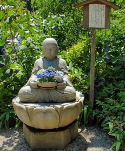 梅雨の合間のあじさい花見 in 北鎌倉