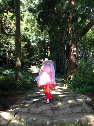 ハロー和歌山★欲張り縦断旅