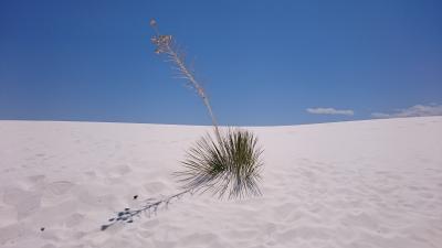 White Sands National Monument（2016GWの旅行記）
