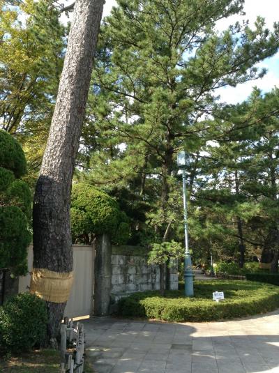 新車でドライブ♪西伊豆 温泉と海の幸＆沼津御用邸記念公園