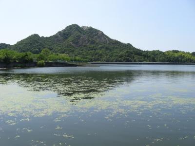 太古の森、嶽山