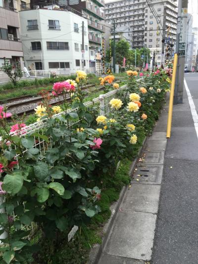 友人を偲んで東京