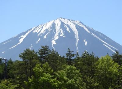 富士山を眺める旅・・・のはずだった富士山麓の1泊 後半