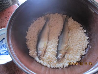 「京亭」の鮎料理と長瀞 日帰り旅