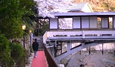 姉妹夫婦の小旅行